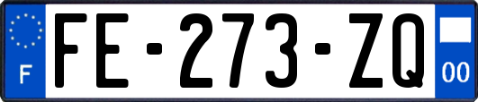 FE-273-ZQ