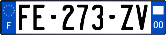 FE-273-ZV