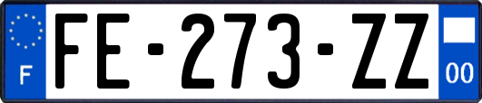 FE-273-ZZ