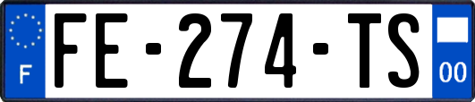 FE-274-TS
