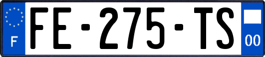 FE-275-TS