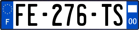 FE-276-TS
