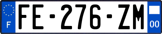 FE-276-ZM