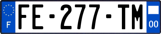 FE-277-TM