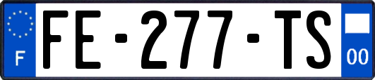 FE-277-TS