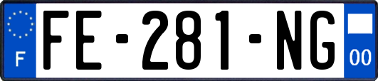 FE-281-NG