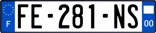 FE-281-NS