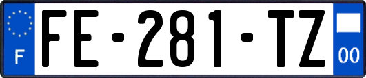 FE-281-TZ