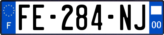 FE-284-NJ