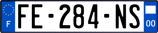 FE-284-NS