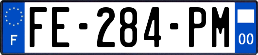 FE-284-PM