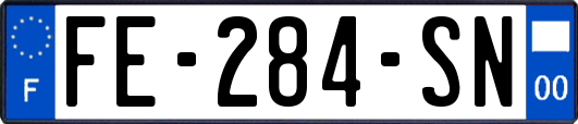 FE-284-SN