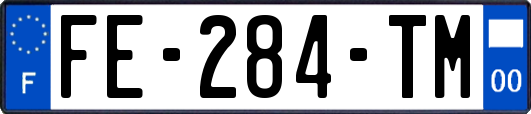 FE-284-TM