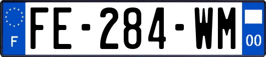 FE-284-WM