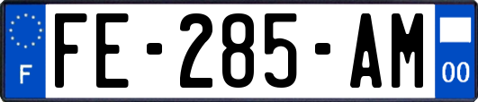 FE-285-AM