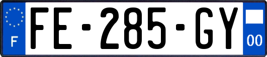 FE-285-GY