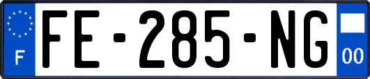 FE-285-NG