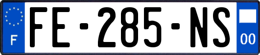 FE-285-NS