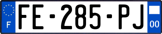 FE-285-PJ