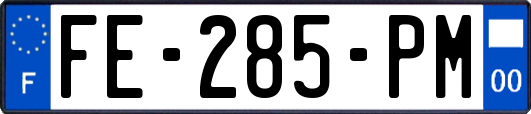 FE-285-PM