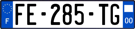 FE-285-TG