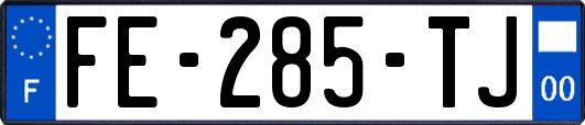 FE-285-TJ