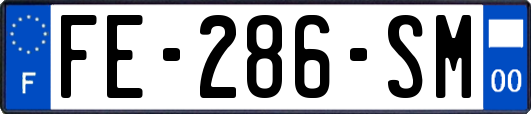 FE-286-SM
