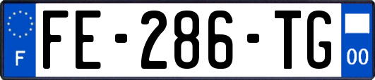 FE-286-TG