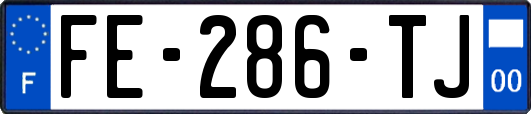 FE-286-TJ