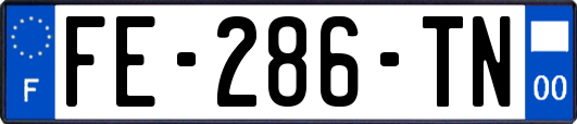 FE-286-TN