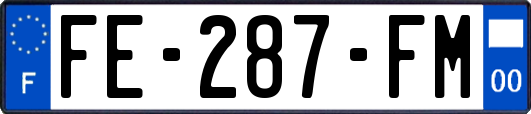 FE-287-FM