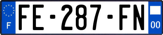 FE-287-FN