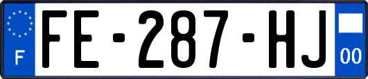 FE-287-HJ