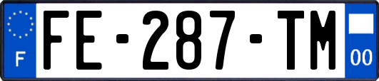 FE-287-TM
