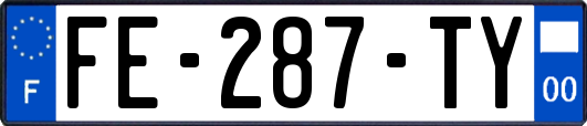 FE-287-TY