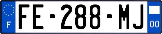FE-288-MJ