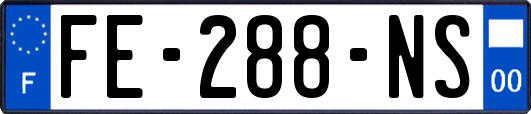 FE-288-NS