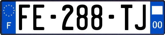 FE-288-TJ