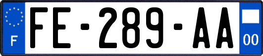 FE-289-AA