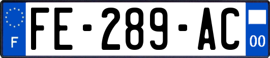 FE-289-AC