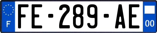 FE-289-AE