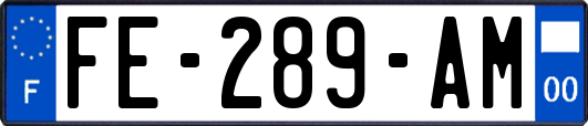 FE-289-AM