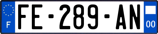 FE-289-AN
