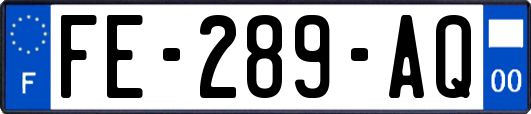 FE-289-AQ