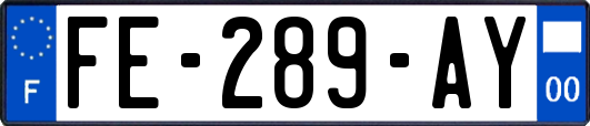 FE-289-AY