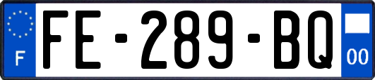 FE-289-BQ