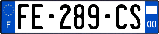 FE-289-CS