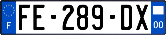 FE-289-DX