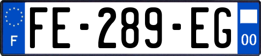 FE-289-EG