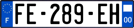 FE-289-EH